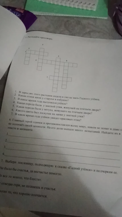 5. Разгадайте кроссворд.