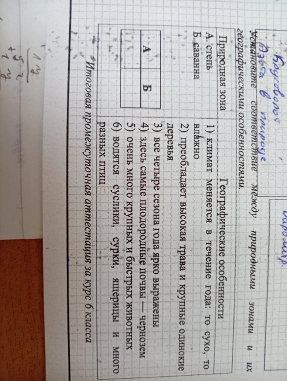 Установите соответствие между природными зонами и их географическими особенностями.