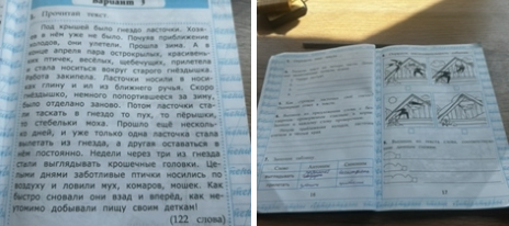Прочитай текст. Под крышей было гнездо ласточки. Хозяев в нём уже не было.
