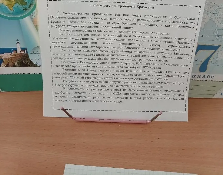 Экологические проблемы Бразилии