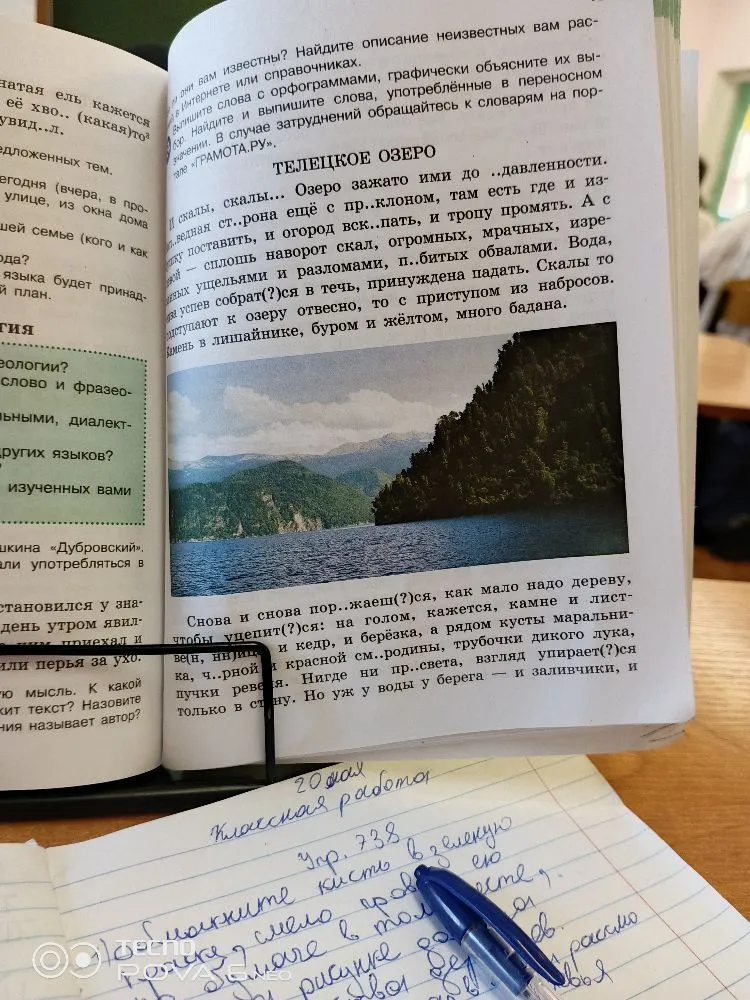 вставь буквы