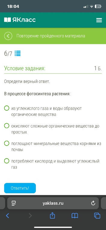 В процессе фотосинтеза растения:
