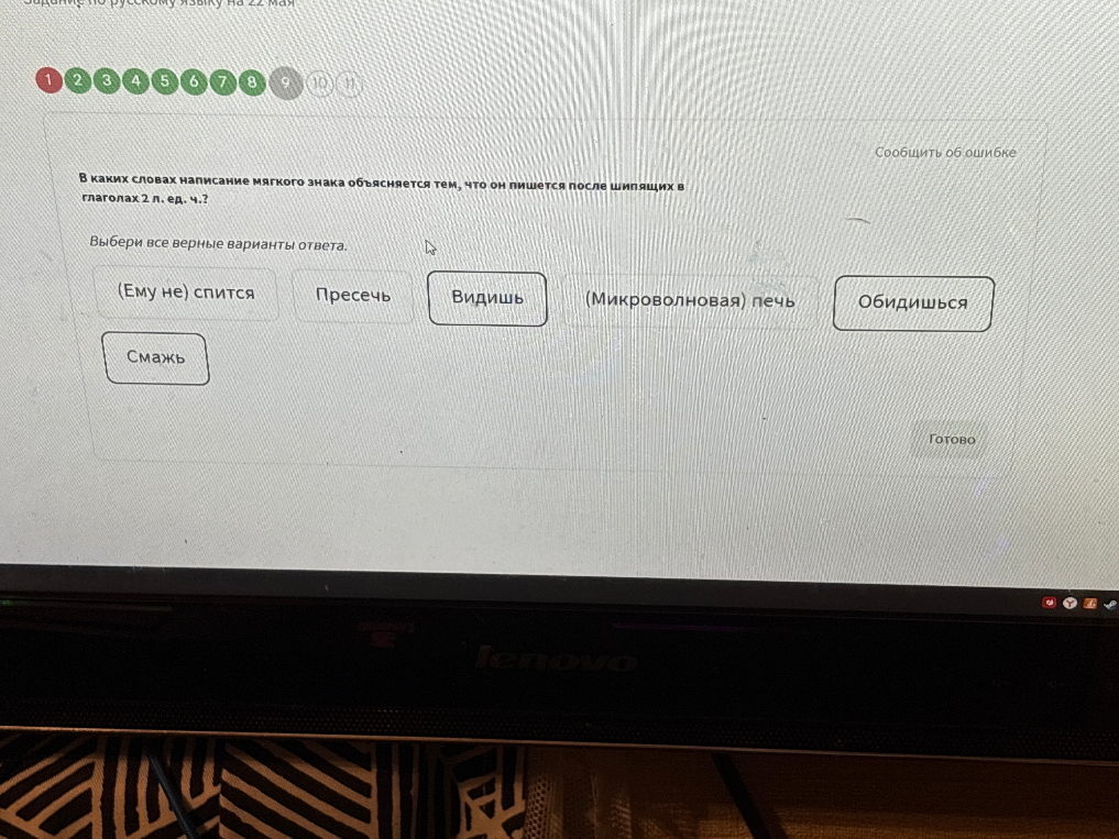 В каких словах написание мягкого знака объясняется тем, что он пишется после шипящих в глаголах 2 л. ед. ч.?
