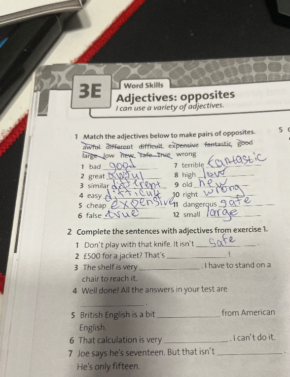 Complete the sentences with adjectives from exercise 1.