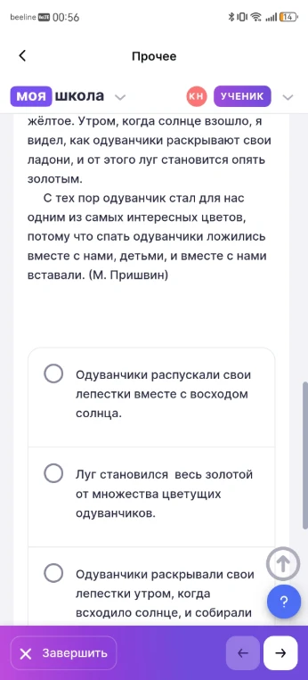 Одуванчики распускали свои лепестки вместе с восходом солнца.