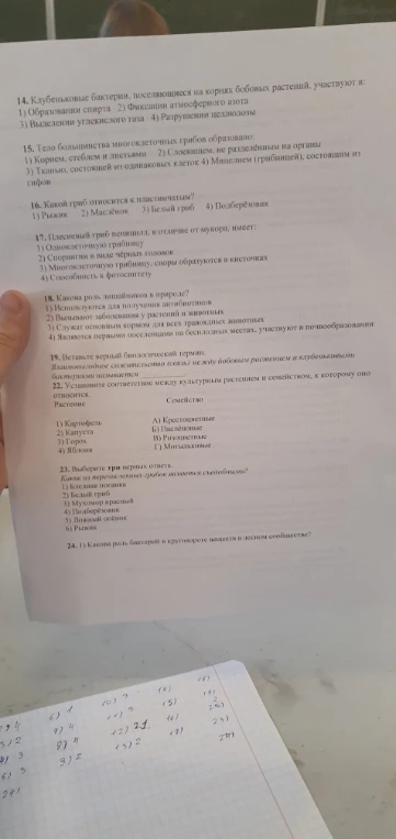 14. Клубеньковые бактерии, поселяющиеся на корнях бобовых растений, участвуют в: