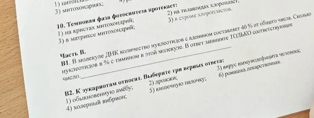 10. Темновая фаза фотосинтеза протекает: