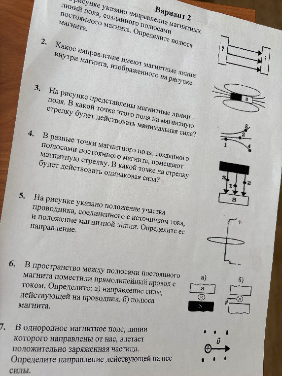 На рисунке указано направление магнитных линий поля, созданного полюсами постоянного магнита. Определите полюса магнита.