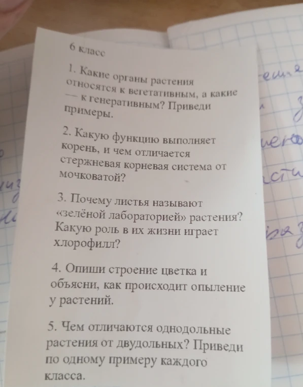 1. Какие органы растения относятся к вегетативным, а какие — к генеративным? Приведи примеры.