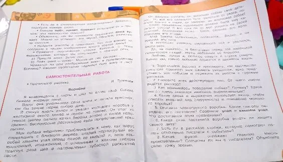 1. Перечитайте рассказ и проследите, как мастерство писателя помогает нам оживить увиденное, ярко представить все события и пережить их вместе с героями рассказа.