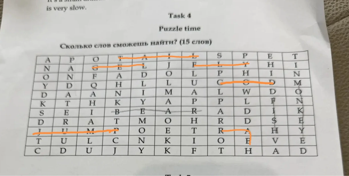 Task 4 Puzzle time Сколько слов сможешь найти? (15 слов)