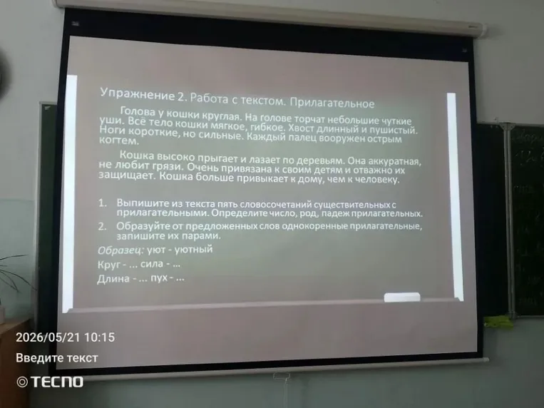 Выпишите из текста пять словосочетаний существительных с прилагательными. Определите число, род, падеж прилагательных.