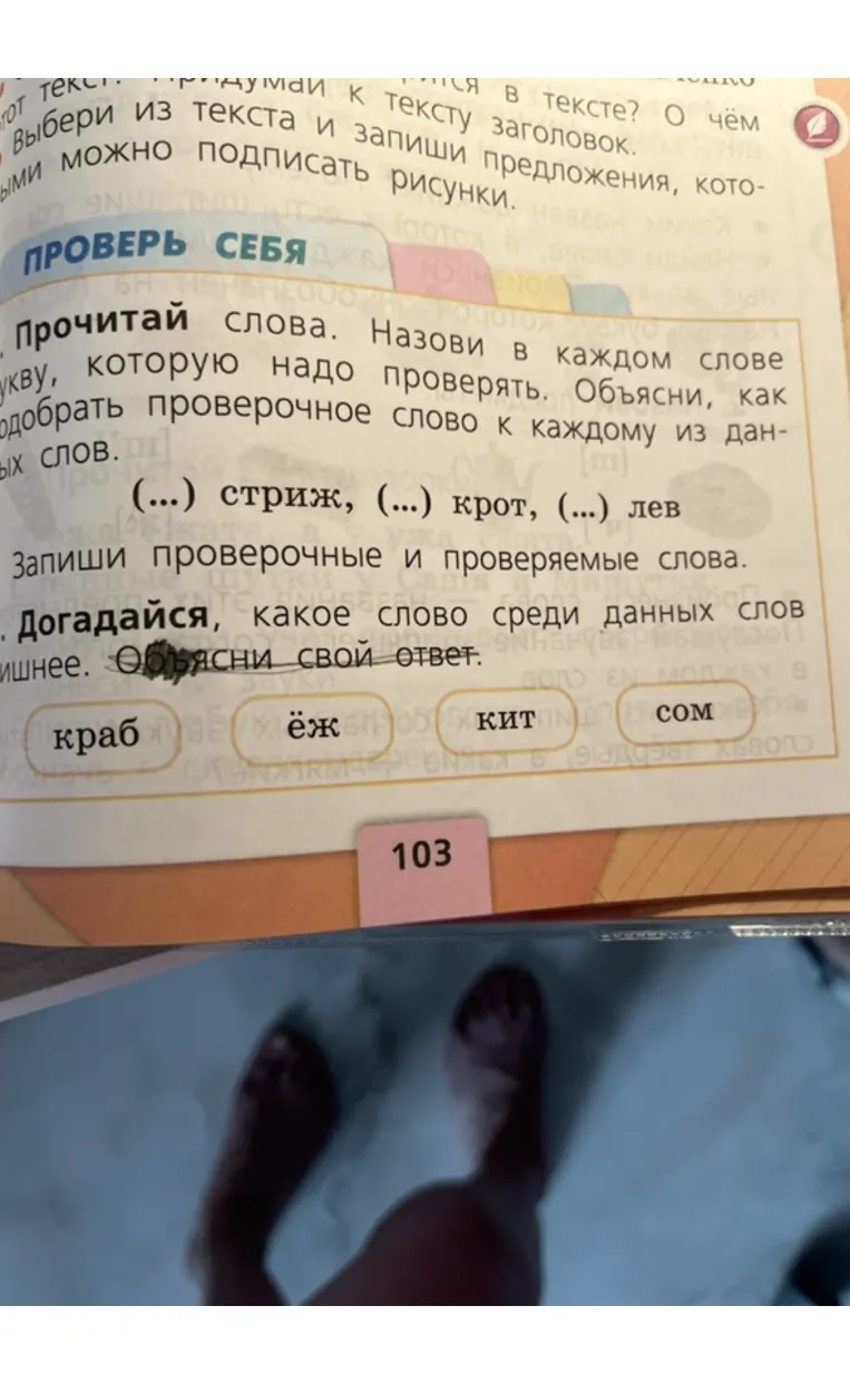 Прочитай слова. Назови в каждом слове букву, которую надо проверять. Объясни, как подобрать проверочное слово к каждому из данных слов.