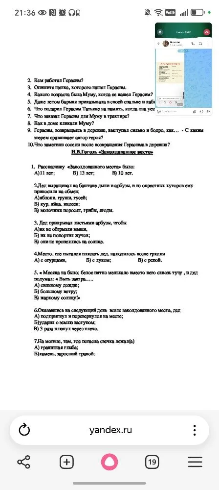 2. Кем работал Герасим? 3. Опишите щенка, которого нашел Герасим. 4. Какого возраста была Муму, когда ее нашел Герасим?