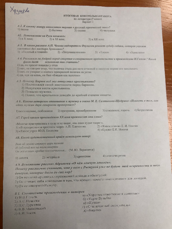 Итоговая контрольная работа по литературе (7 класс) Вариант 1
