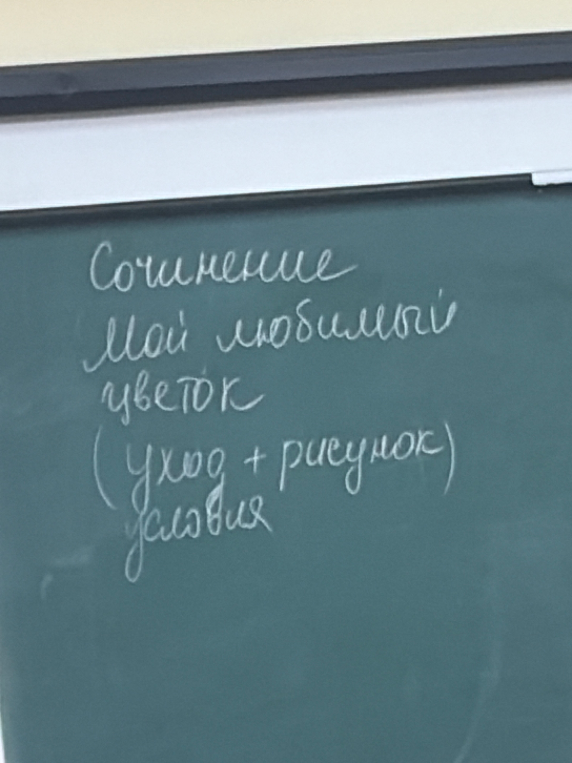 Сочинение Мой любимый цветок (уход + рисунок) условия