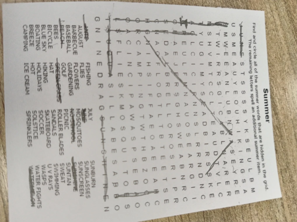 Find and circle all of the summer words that are hidden in the grid.