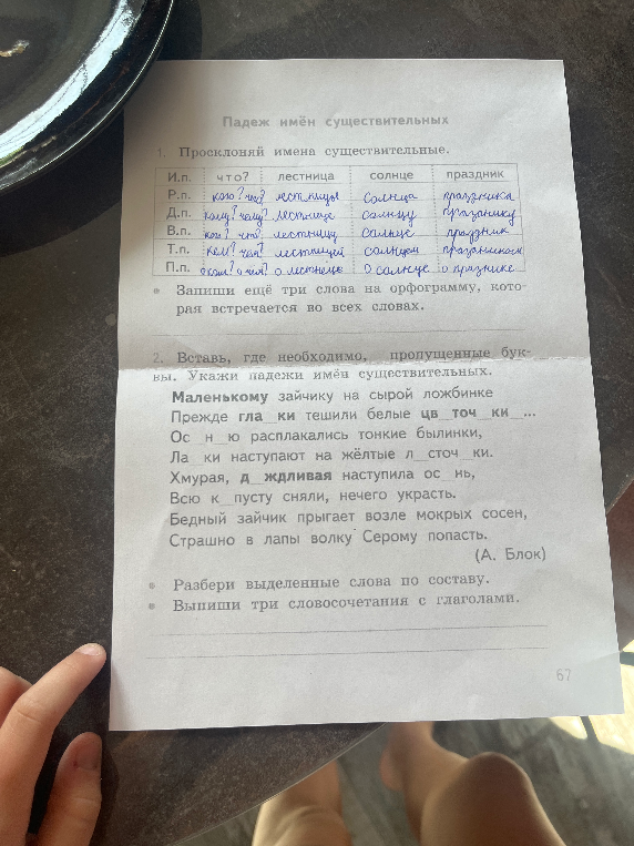 Просклоняй имена существительные. Запиши ещё три слова на орфограмму, которая встречается во всех словах.