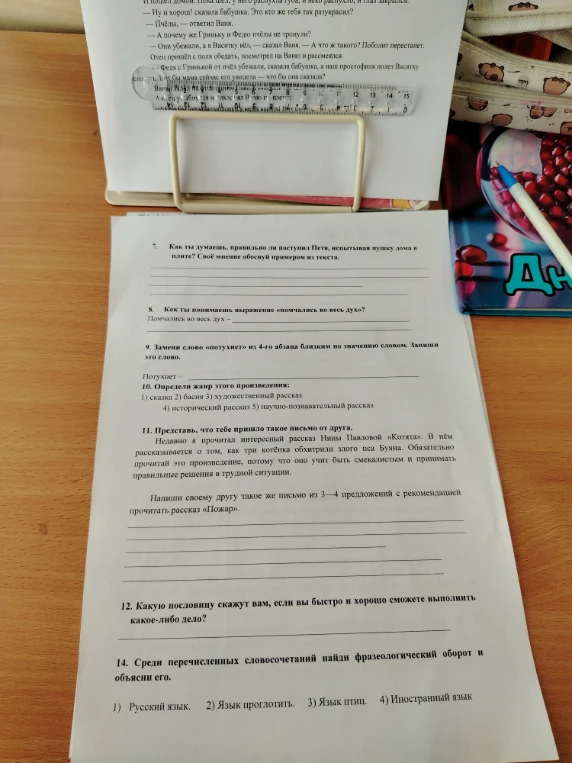 Как ты думаешь, правильно ли поступил Петя, испытывая пушку дома в плите? Своё мнение обоснуй примером из текста.