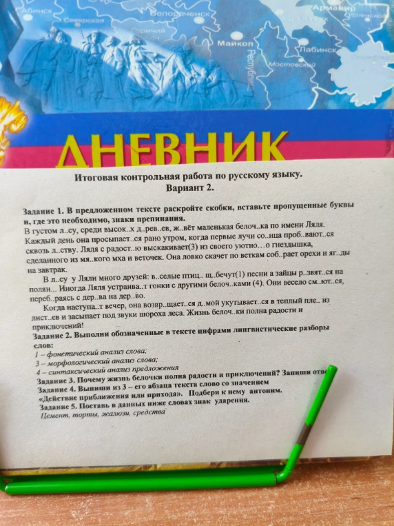 В предложенном тексте раскройте скобки, вставьте пропущенные буквы и, где необходимо, знаки препинания.