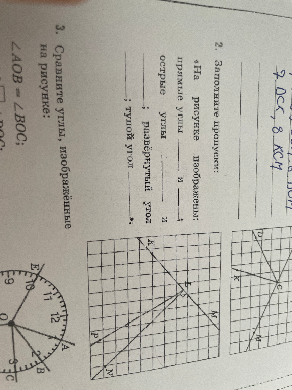 3. Сравните углы, изображённые на рисунке: ∠AOB = ∠BOC;