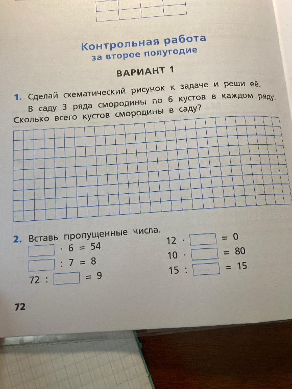 Сделай схематический рисунок к задаче и реши её. В саду 3 ряда смородины по 6 кустов в каждом ряду. Сколько всего кустов смородины в саду?