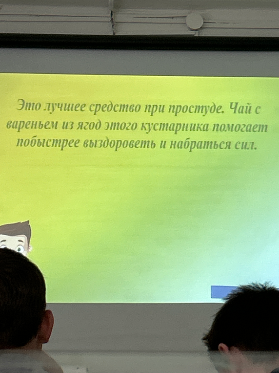 Это лучшее средство при простуде. Чай с вареньем из ягод этого кустарника помогает побыстрее выздороветь и набраться сил.