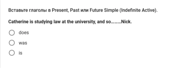 Вставьте глаголы в Present, Past или Future Simple (Indefinite Active). Catherine is studying law at the university, and so........Nick.