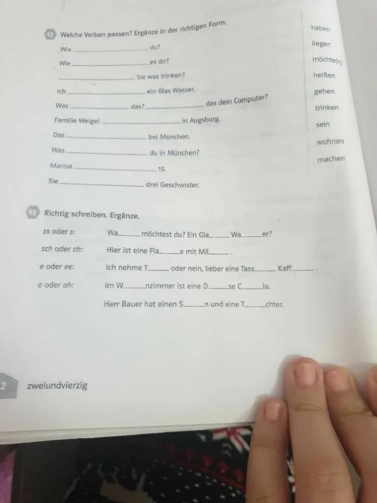 Welche Verben passen? Ergänze in der richtigen Form.