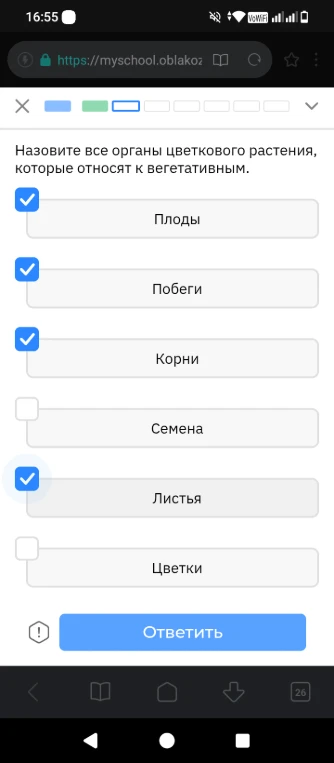 Назовите все органы цветкового растения, которые относят к вегетативным.