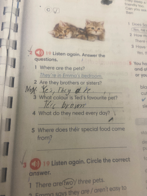 Listen again. Answer the questions. 1 Where are the pets? 2 Are they brothers or sisters? 3 What colour is Ted's favourite pet? 4 What do they need every day? 5 Where does their special food come from?