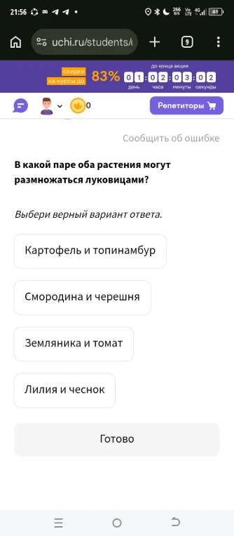 В какой паре оба растения могут размножаться луковицами?