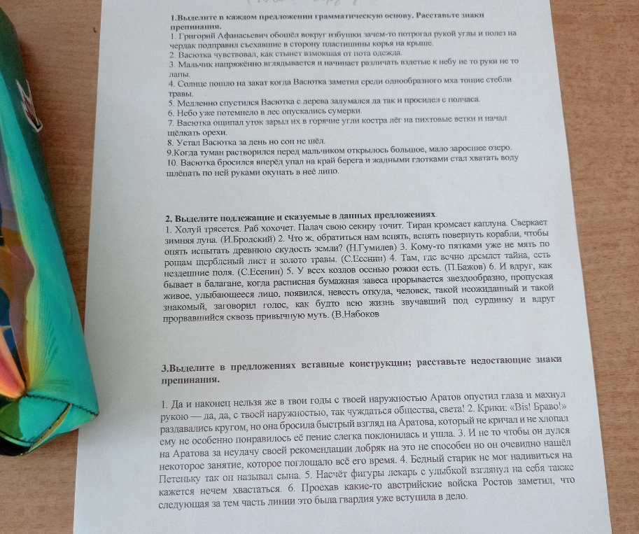 1.Выделите в каждом предложении грамматическую основу. Расставьте знаки препинания.