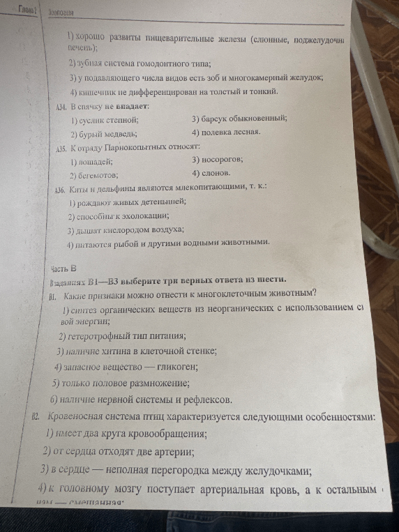 А34. В спячку не впадает: