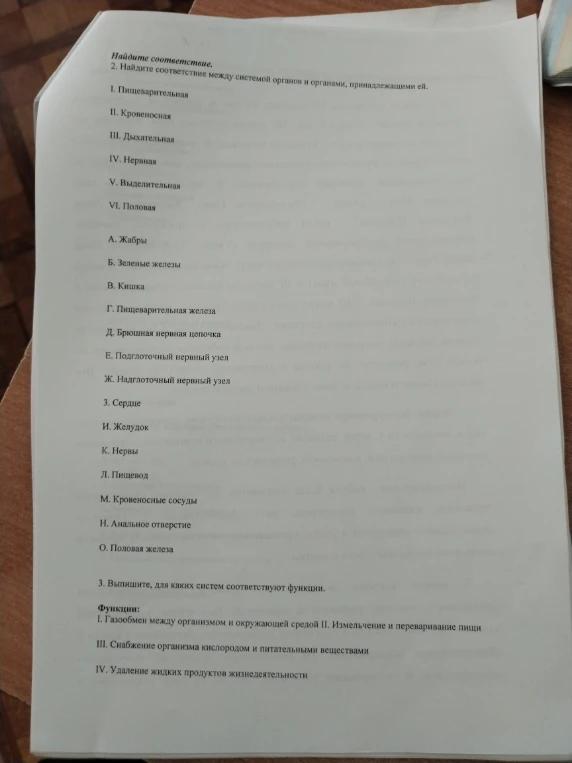 Найдите соответствие. 2. Найдите соответствие между системой органов и органами, принадлежащими ей.