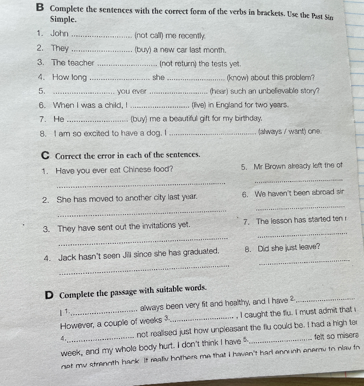 Complete the sentences with the correct form of the verbs in brackets. Use the Past Simple.