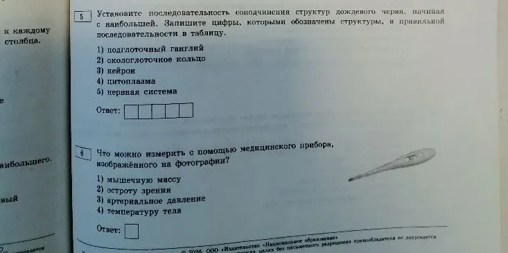 Установите последовательность соподчинения структур дождевого червя, начиная с наибольшей. Запишите цифры, которыми обозначены структуры, в правильной последовательности в таблицу.