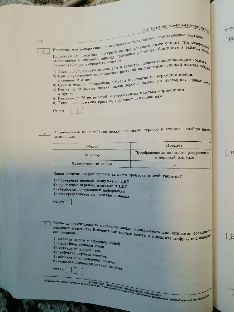 Известно, что подорожник — многолетнее травянистое светолюбивое растение.