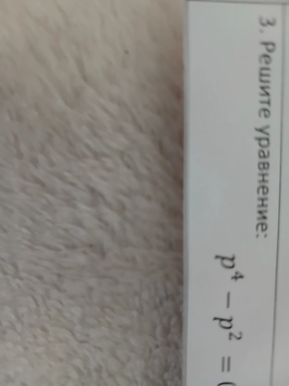 3. Решите уравнение: p^4 - p^2 = 0