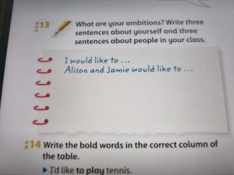 What are your ambitions? Write three sentences about yourself and three sentences about people in your class.