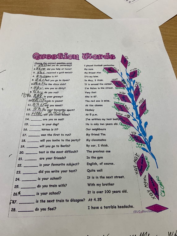 Choose the correct question word: 14. ___ are you so sad?