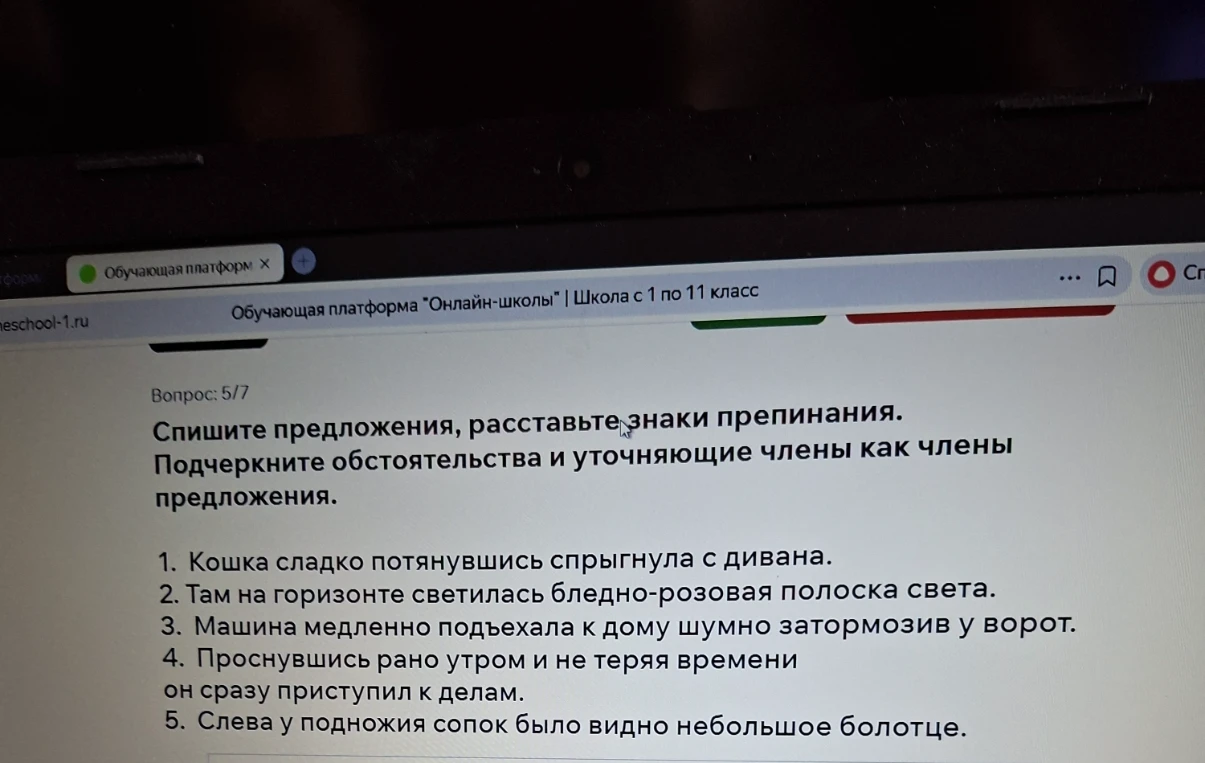 Спишите предложения, расставьте знаки препинания. Подчеркните обстоятельства и уточняющие члены как члены предложения.