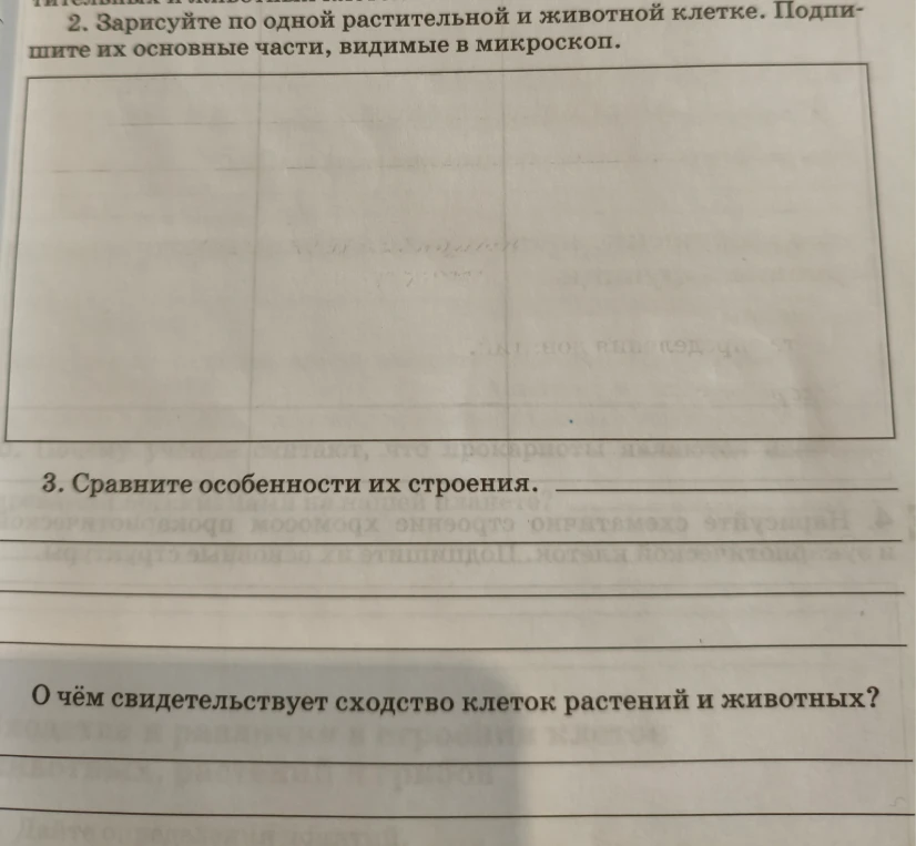 2. Зарисуйте по одной растительной и животной клетке. Подпишите их основные части, видимые в микроскоп.