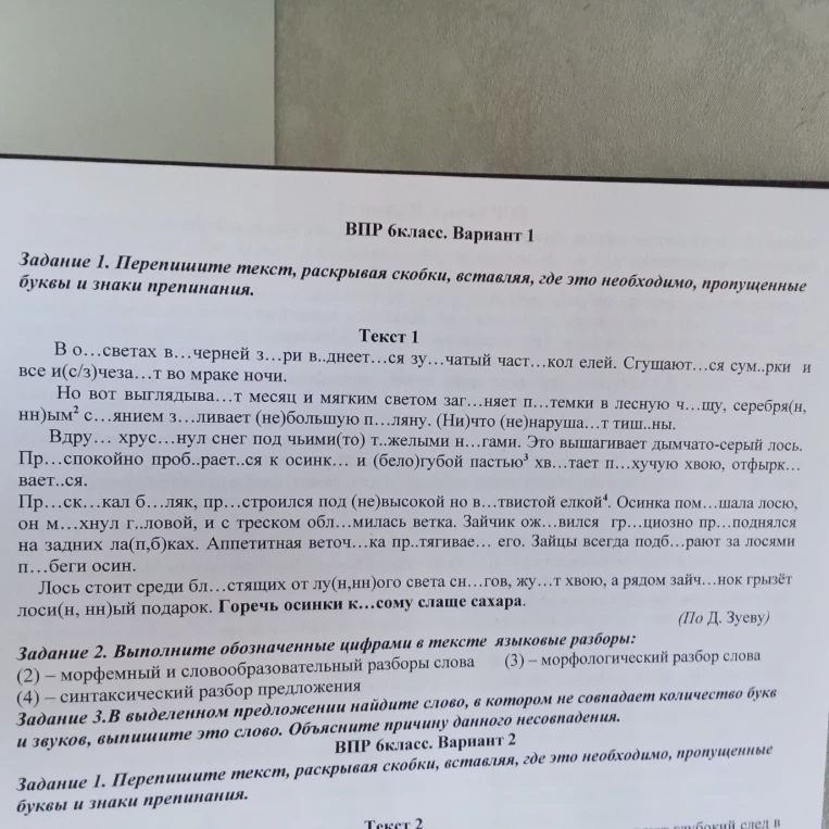 Задание 1. Перепишите текст, раскрывая скобки, вставляя, где это необходимо, пропущенные буквы и знаки препинания.