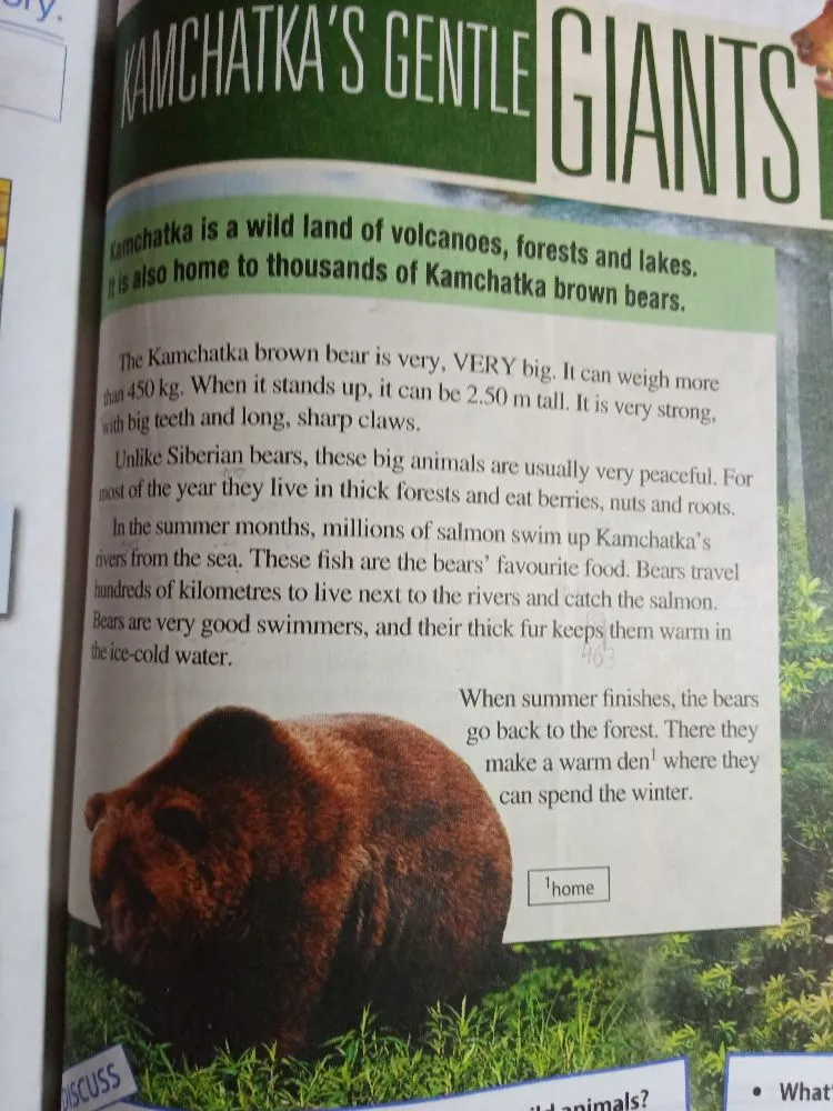 Kamchatka is a wild land of volcanoes, forests and lakes. It is also home to thousands of Kamchatka brown bears.