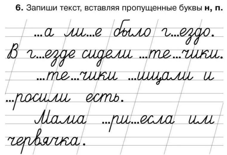 6. Запиши текст, вставляя пропущенные буквы н, п.