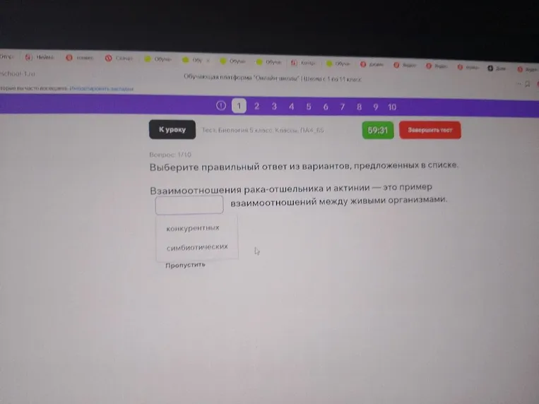 Выберите правильный ответ из вариантов, предложенных в списке. Взаимоотношения рака-отшельника и актинии — это пример взаимоотношений между живыми организмами.