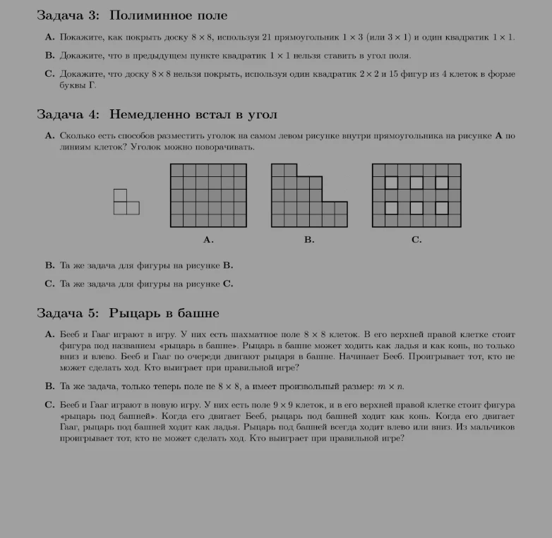 Задача 3: Полиминное поле