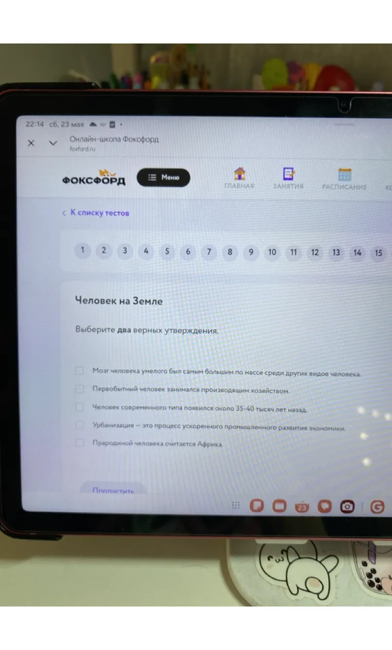 Человек на Земле. Выберите два верных утверждения.
