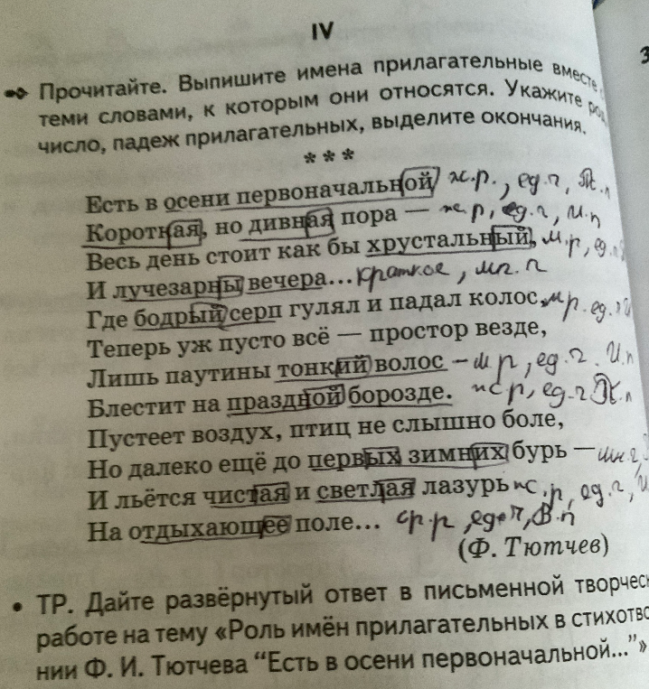 Прочитайте. Выпишите имена прилагательные вместе с теми словами, к которым они относятся. Укажите род, число, падеж прилагательных, выделите окончания.